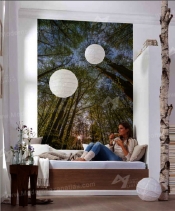 sampel poster NO